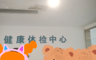 六盘水找人代替抽血陇南入职体检服务