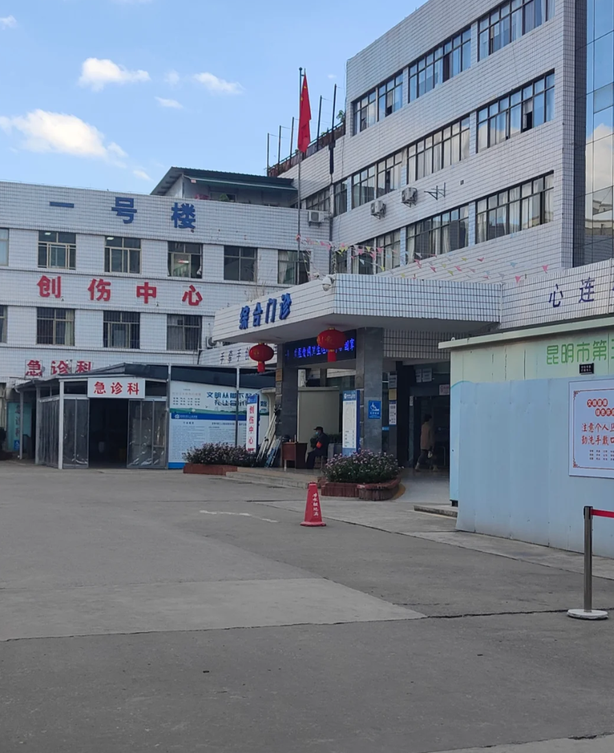 六盘水找人代替抽血昆明入职体检服务-第1张图片-代解忧
