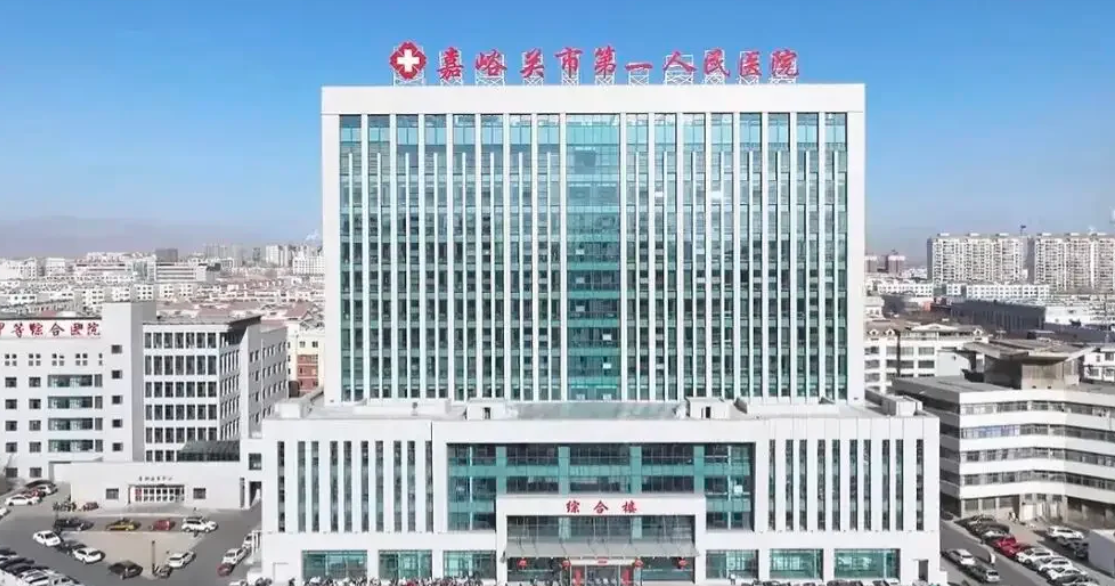 六盘水找人代替抽血嘉峪关入职体检服务-第1张图片-代解忧