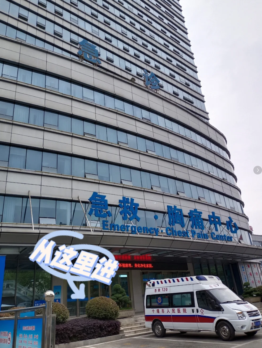 六盘水找人代替抽血十堰入职体检服务-第1张图片-代解忧